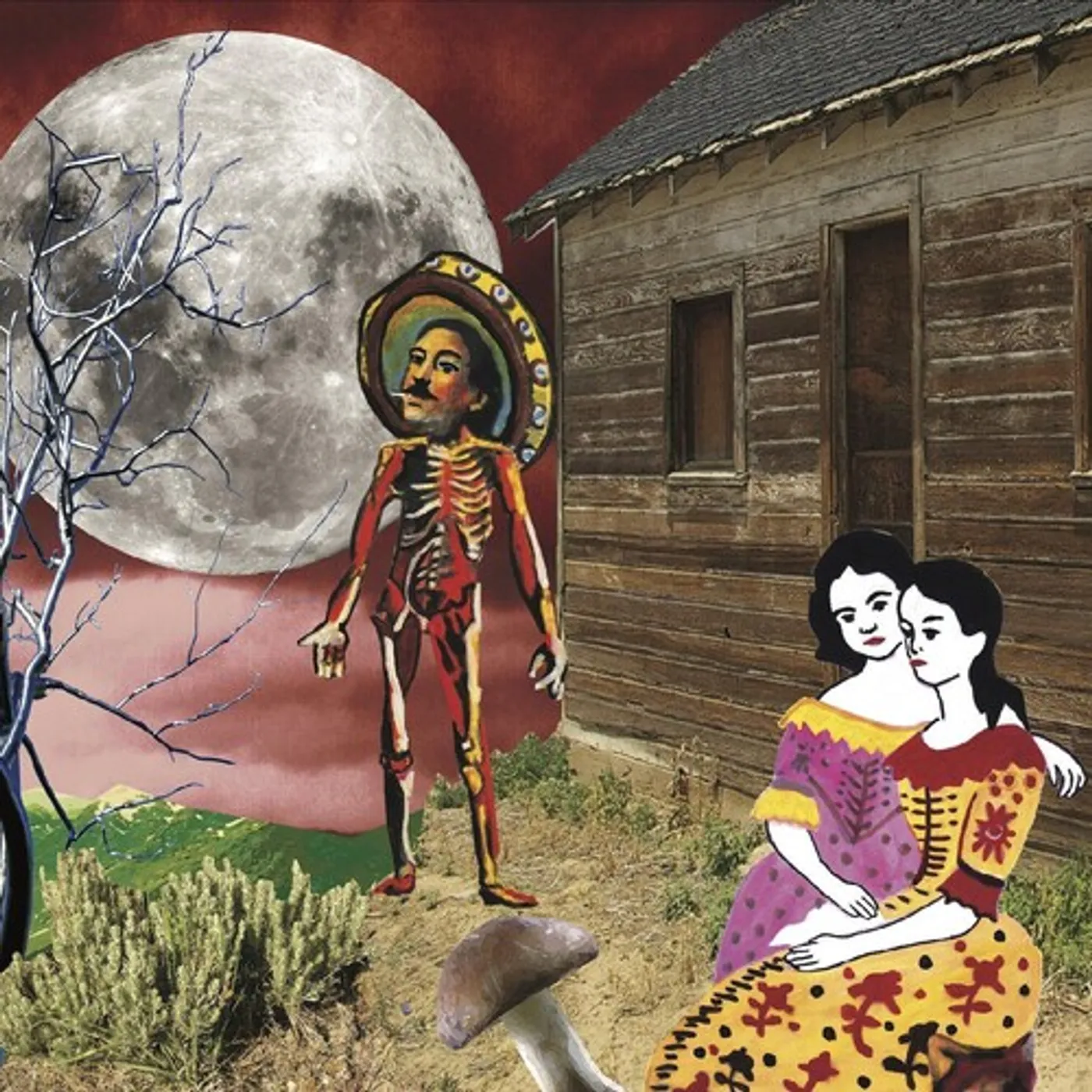 Silkworm In the West Vinyl Record