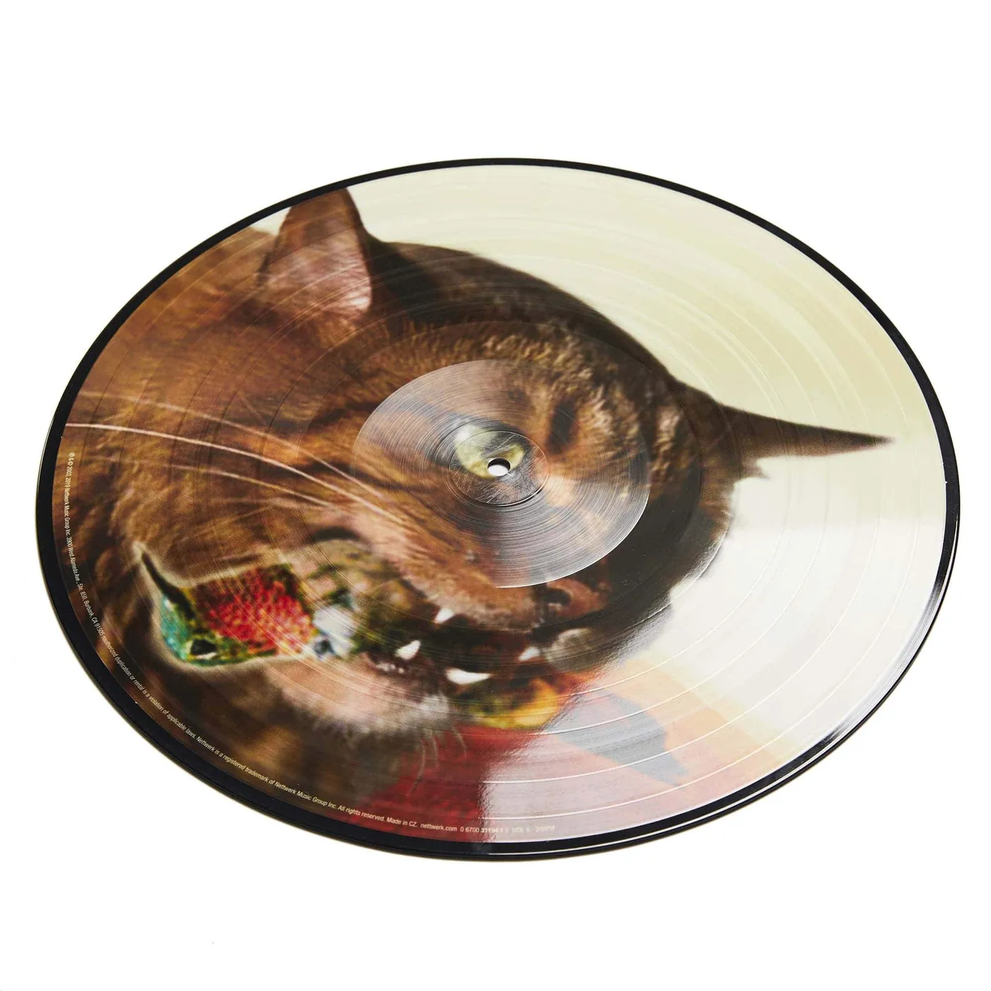 Guster 'The Meowstro Sings: Keep It Together' 12" Vinyl Picture Disc