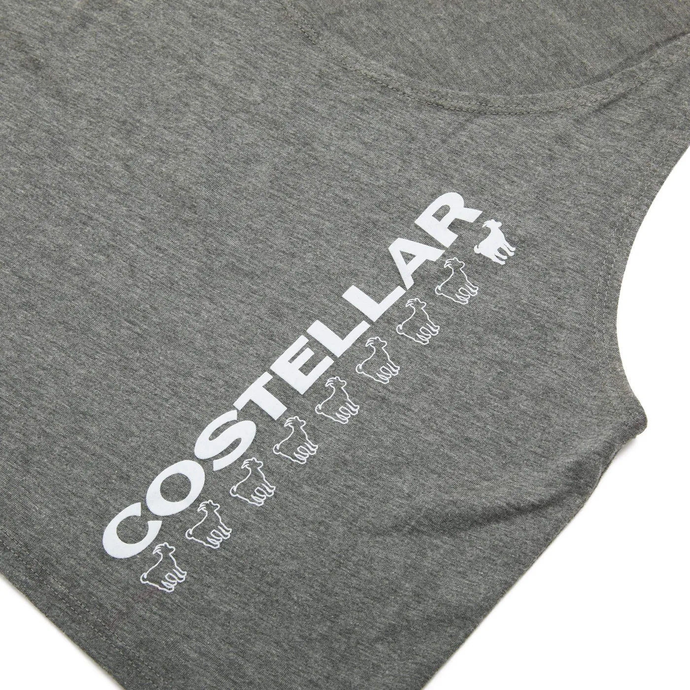 Erika Costell Costellar Women's Crop Top