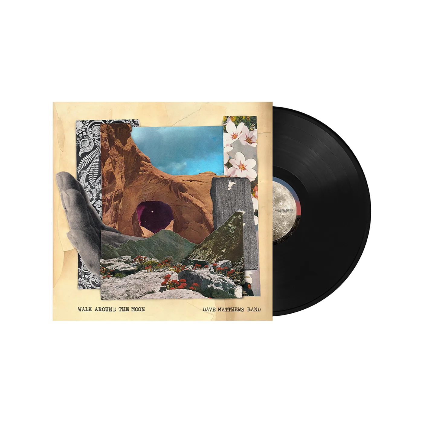 Dave Matthews Band Walk Around The Moon Black Vinyl