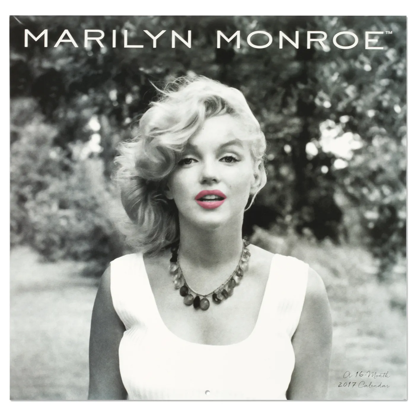Marilyn Monroe 2017 Wall Calendar