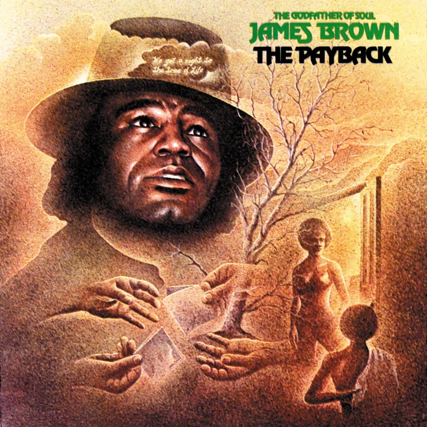James Brown The Payback 2 LP (Vinyl)