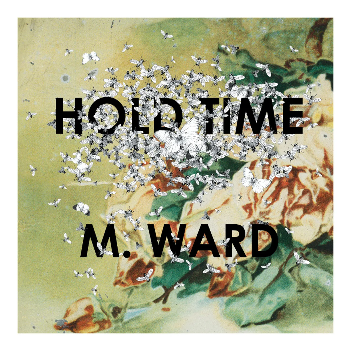 M. Ward Hold Time CD