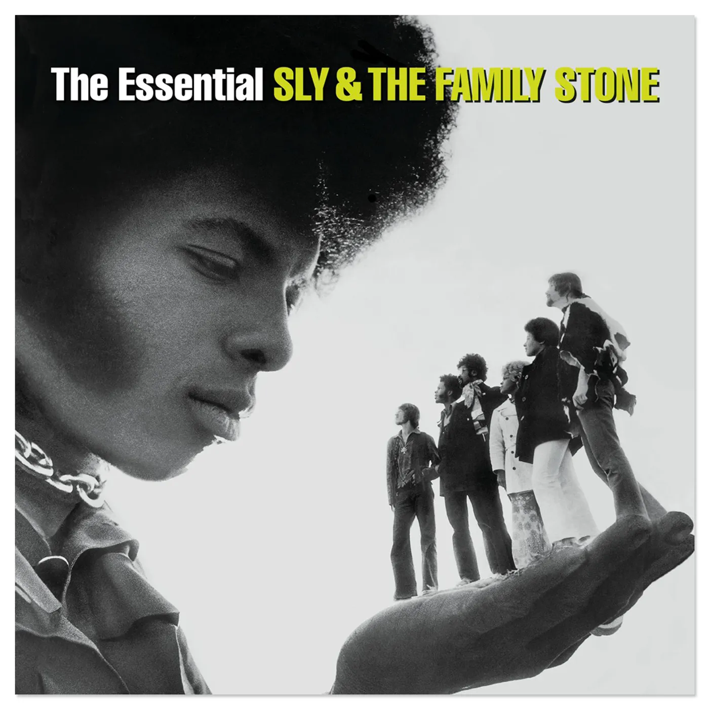 Sly & The Family Stone The Essential Sly & The Family Stone CD