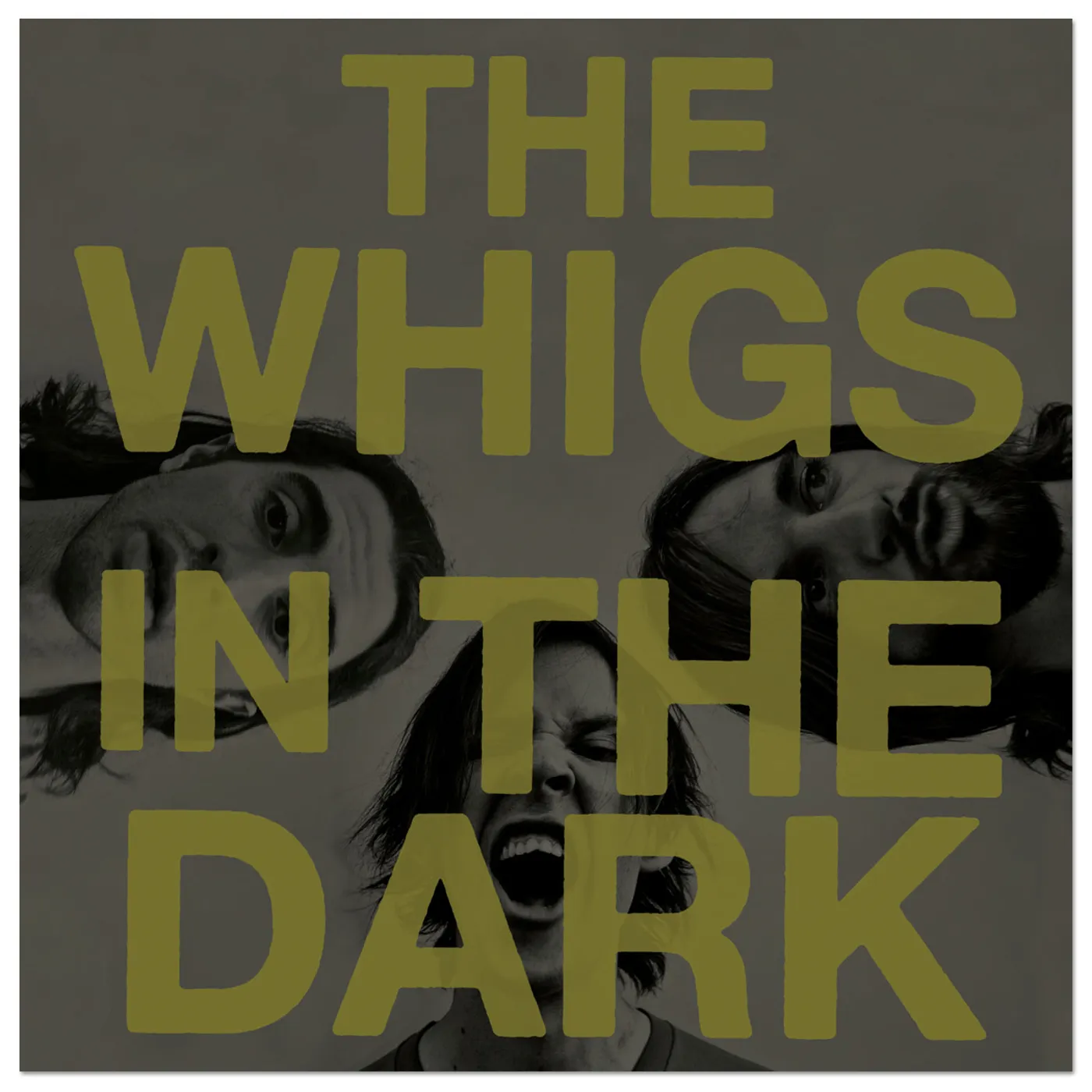 The Whigs - In The Dark CD