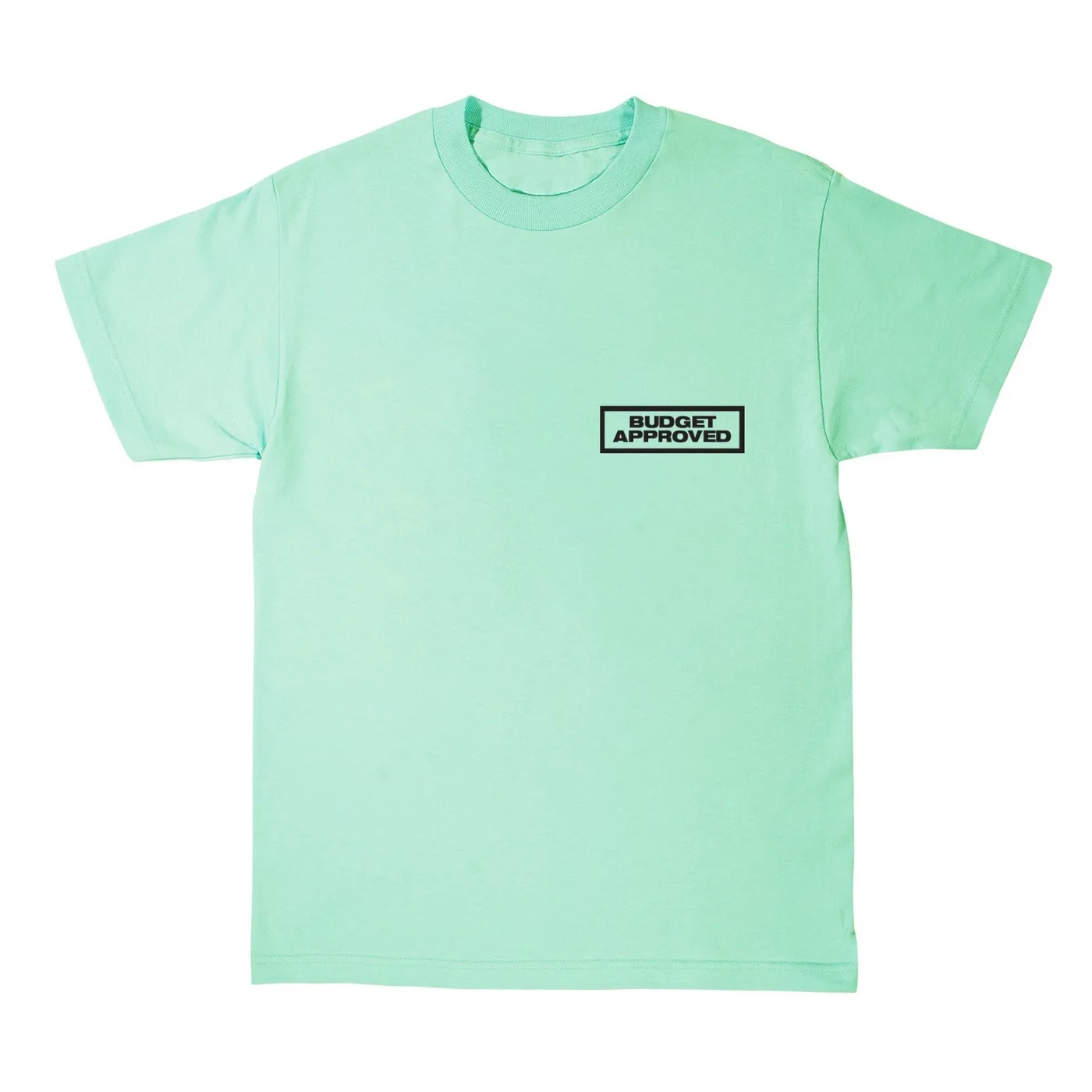 DJ Khaled Father of Asahd "Budget Approved" Mint T-Shirt