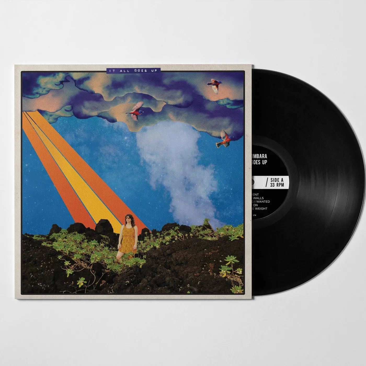 Beth Bombara It All Goes Up 12"LP (Vinyl)