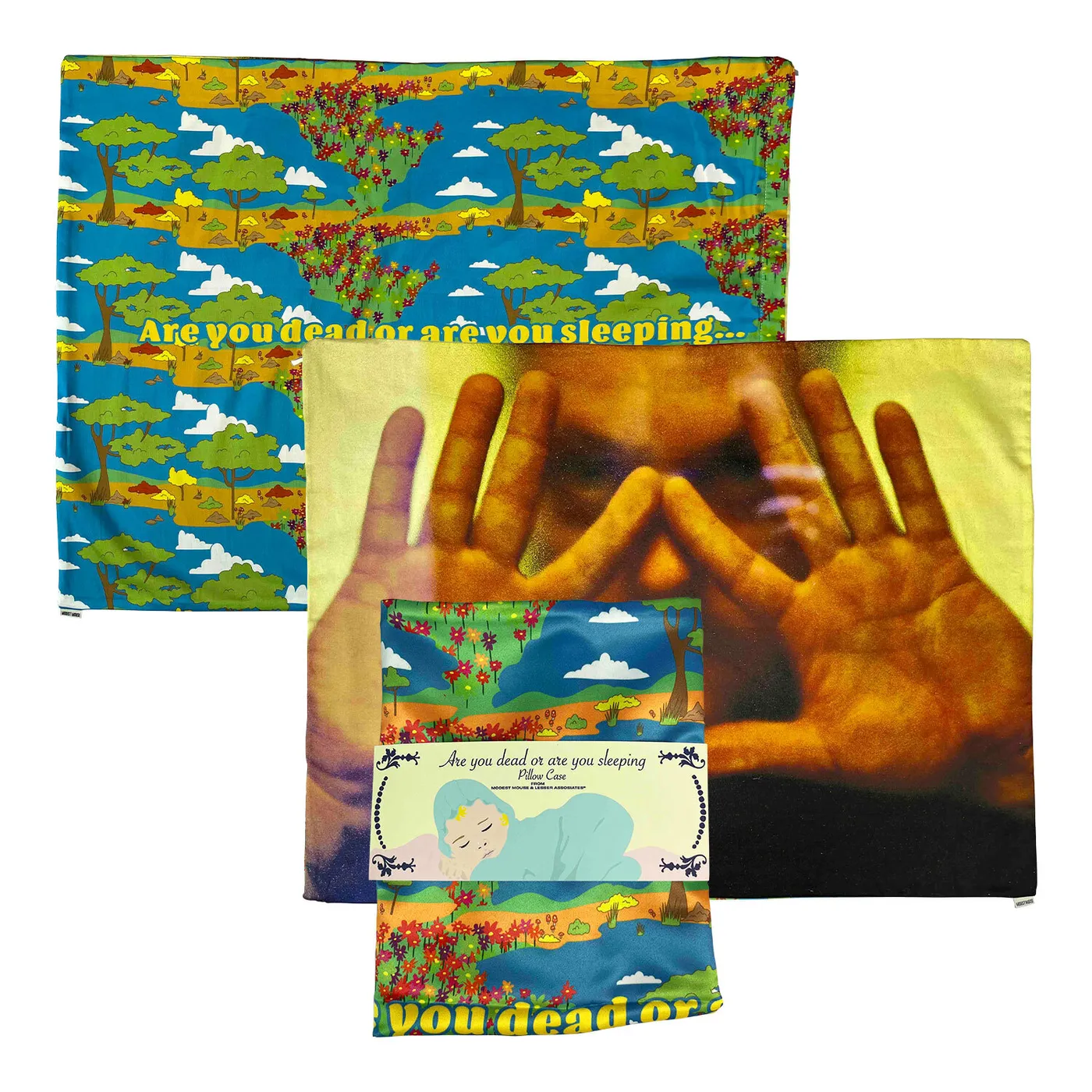 Modest Mouse Satin in a Coffin Pillowcase