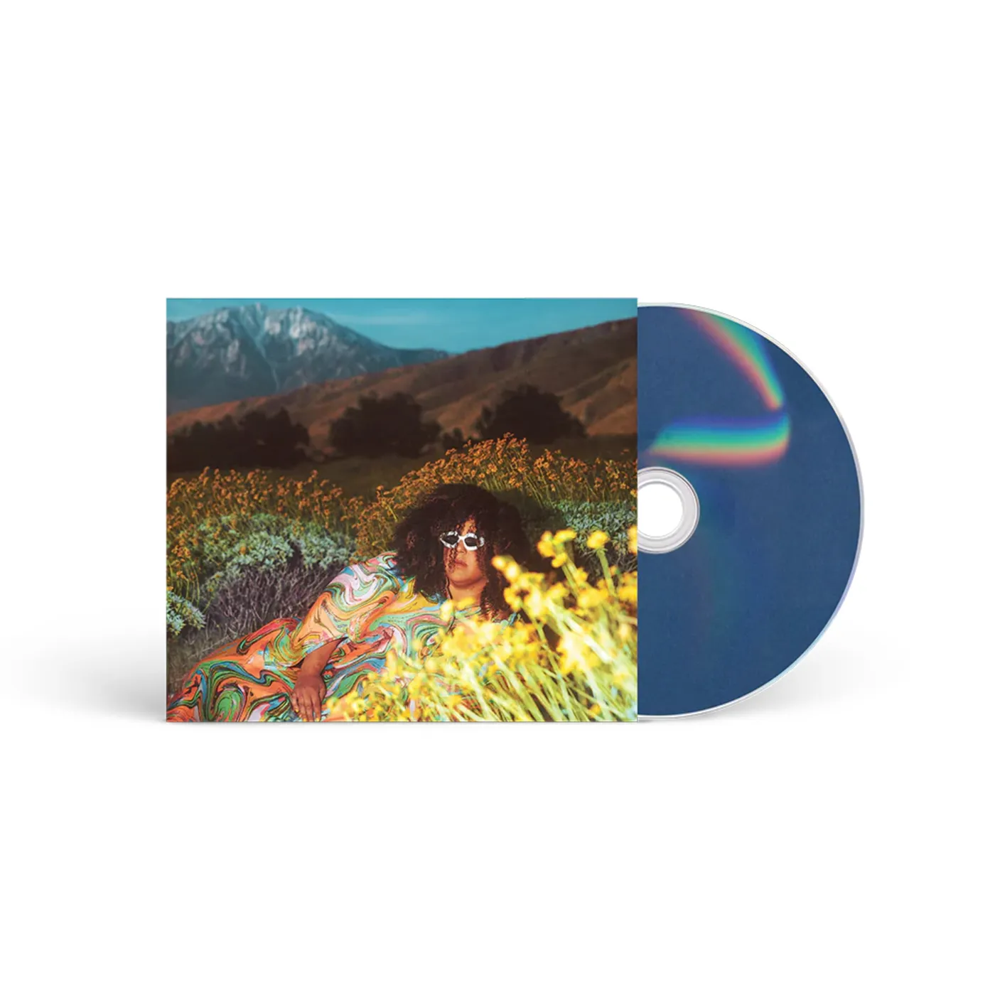 Brittany Howard What Now CD