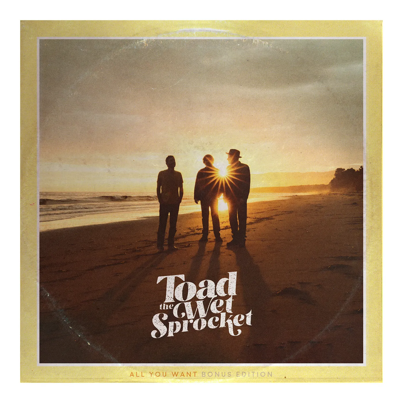 Toad The Wet Sprocket All You Want (Bonus Edition) - 2-LP VINYL / GATEFOLD JACKET