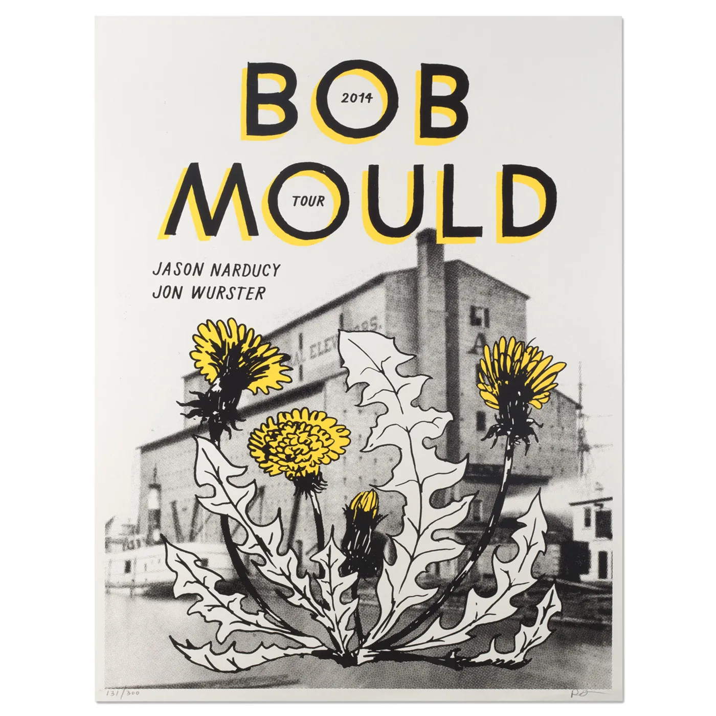 Bob Mould 2014 Tour Poster