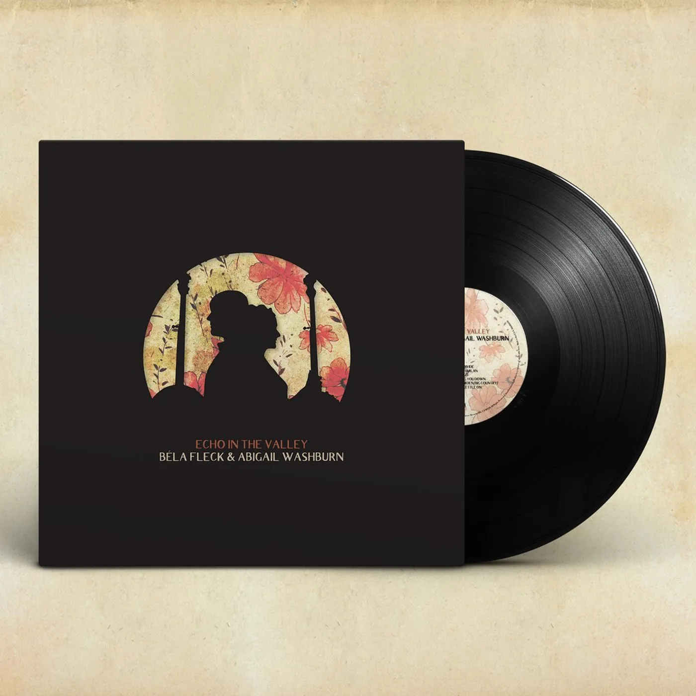 Abigail Washburn Echo in the Valley LP (Vinyl)