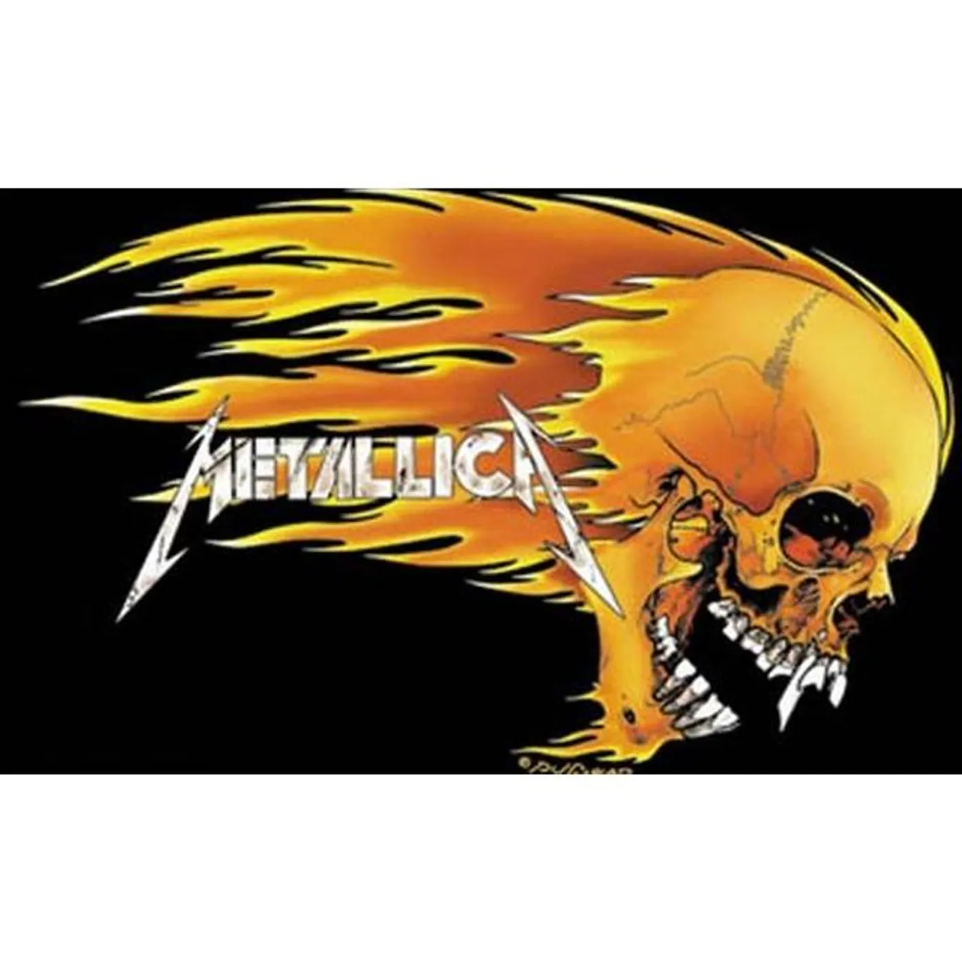 Metallica Skull & Flames Fabric Poster