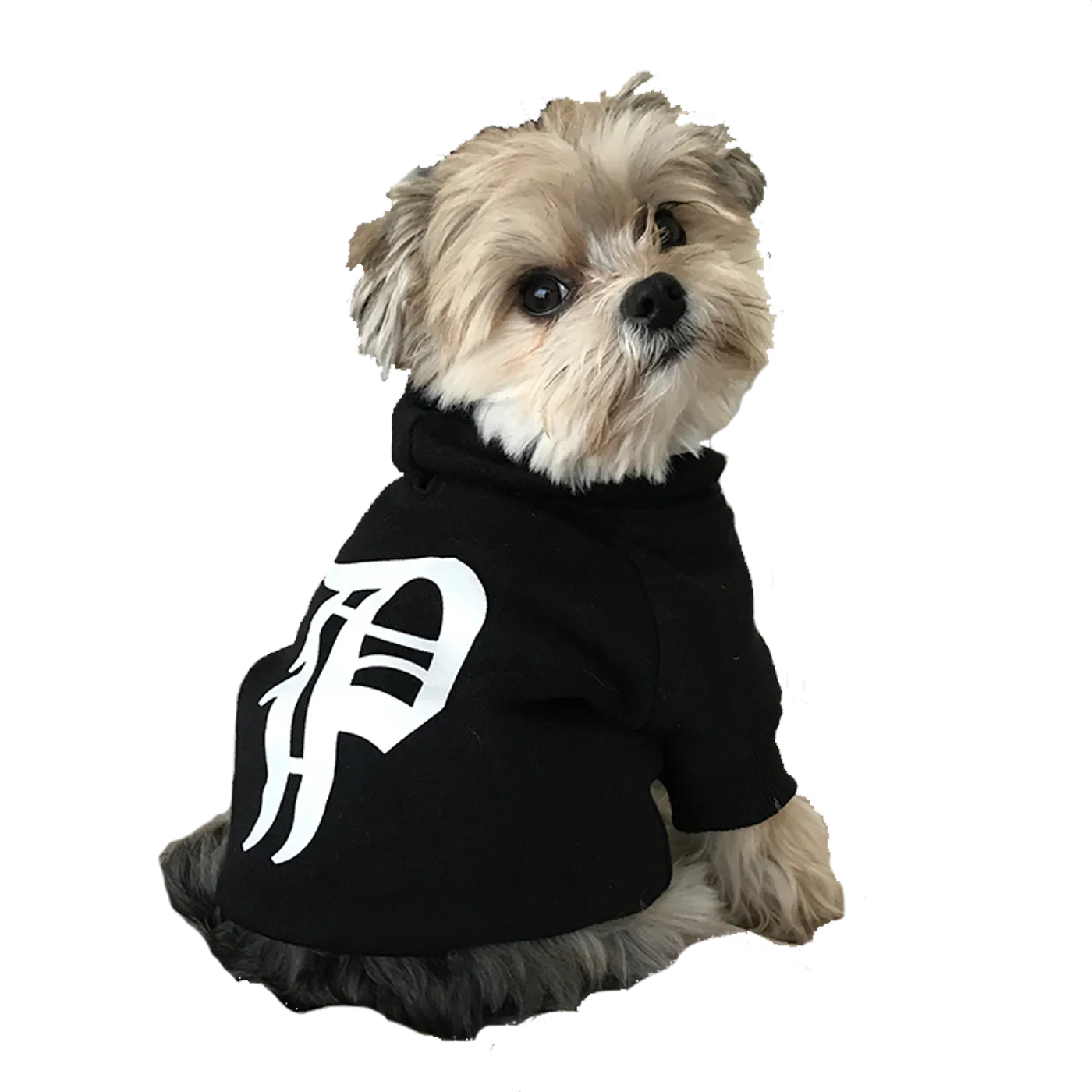 Phantogram Dog Hoodie