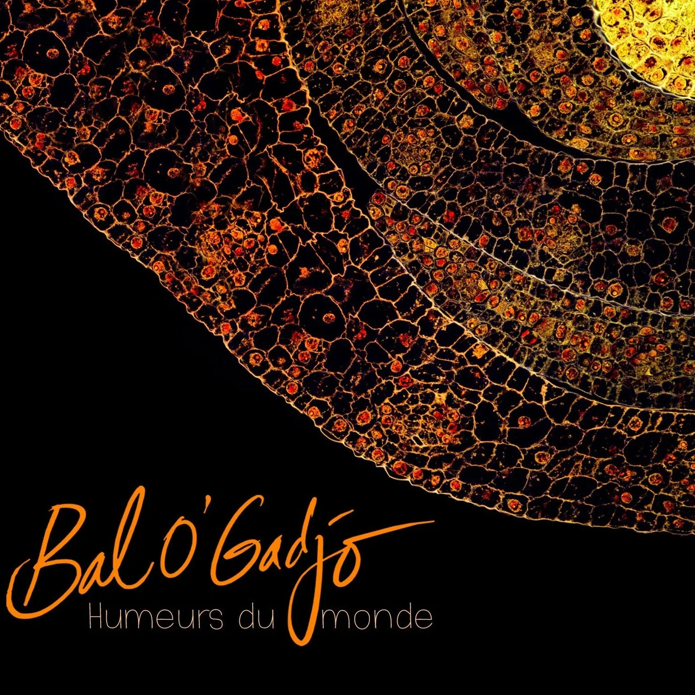 Bal O'Gadjo Humeurs Du Monde - (CD)