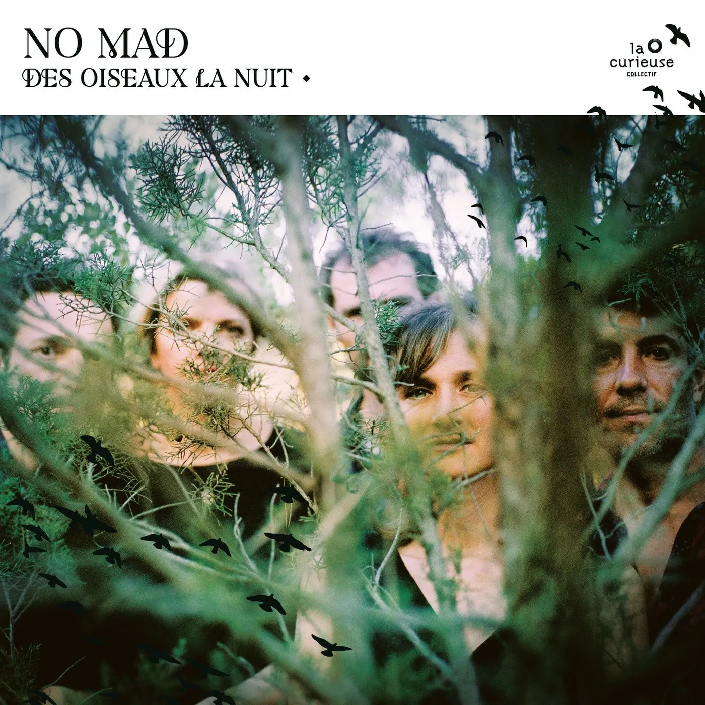 No mad? DES OISEAUX LA NUIT - NO MAD (33T) (Vinyl)