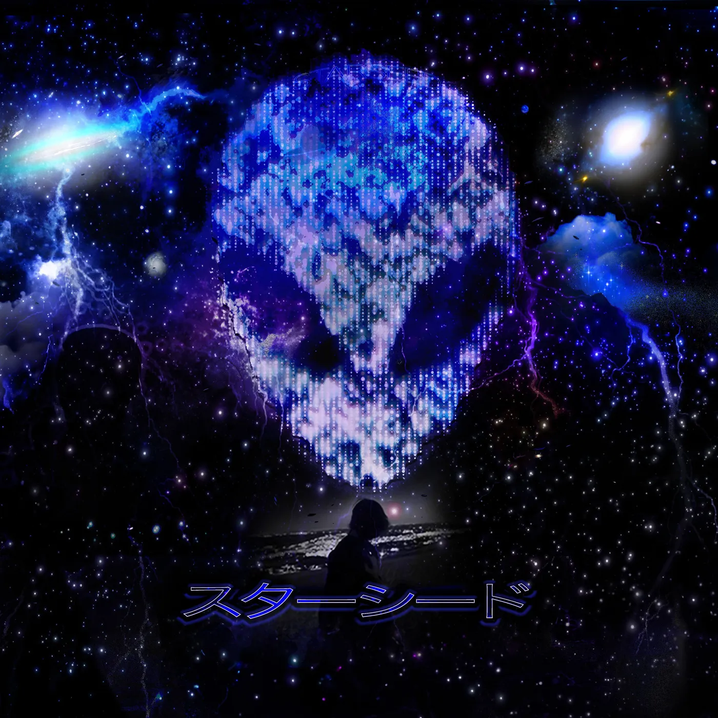 Lil Bruh Gwop STARSEED VINYL