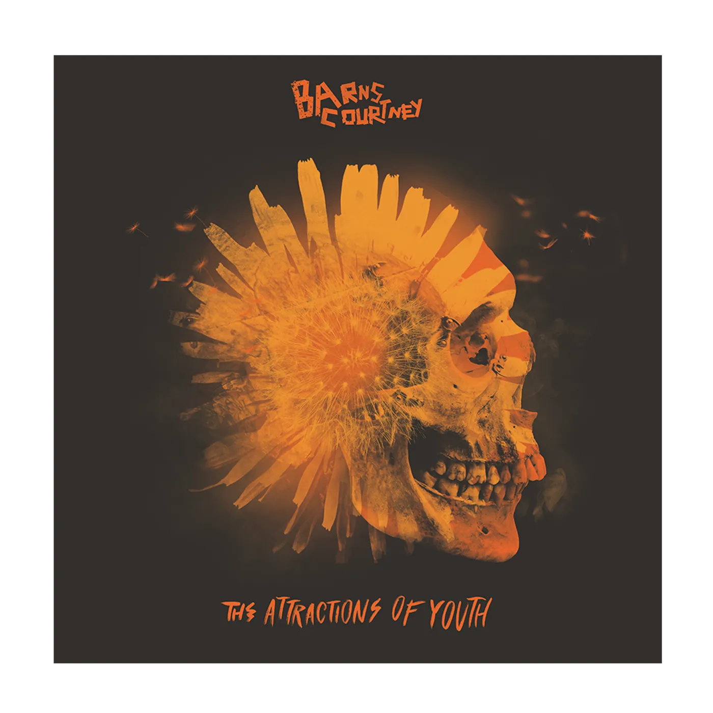 Barns Courtney "Attractions Of Youth" Vinyl