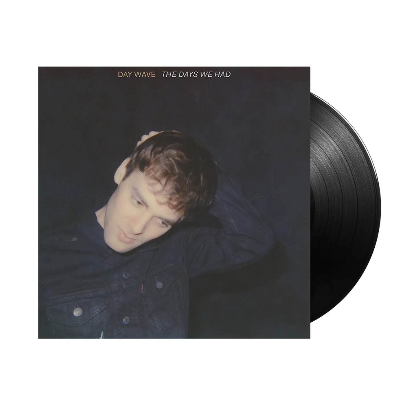 Day Wave The Days We Had Vinyl