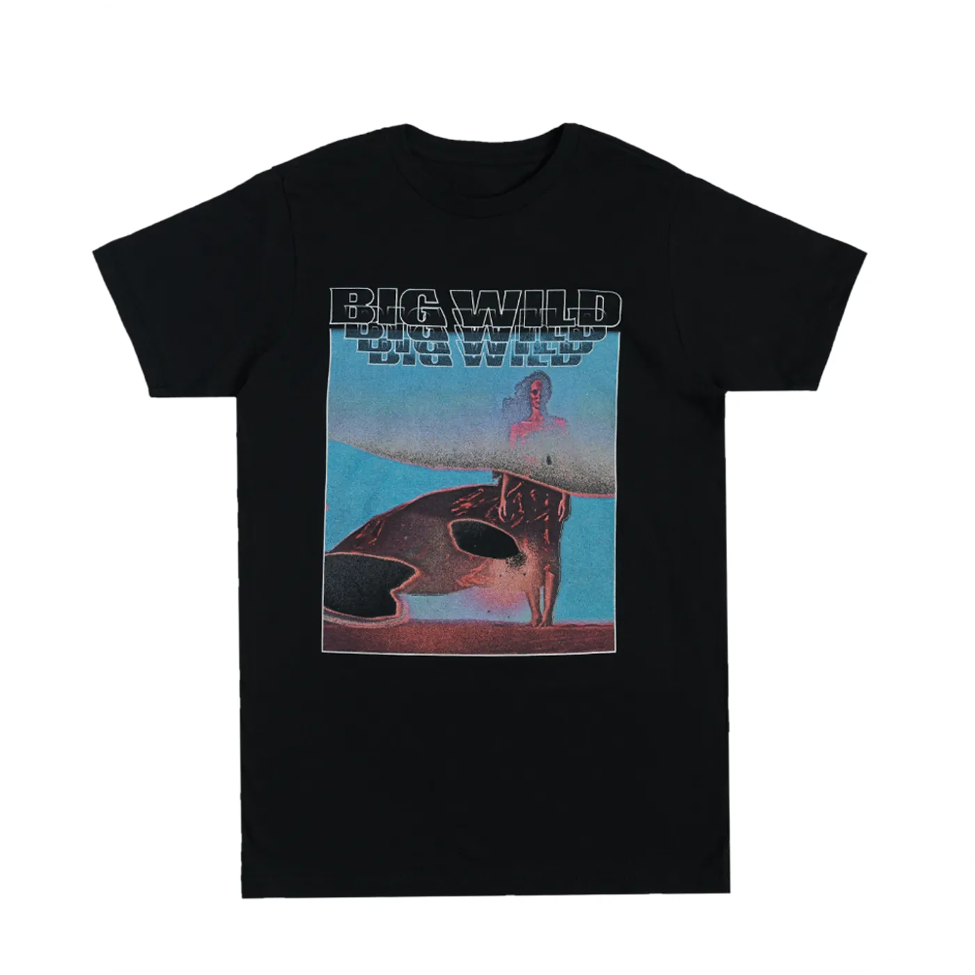 Big Wild Lo-Fi T-Shirt (Black)