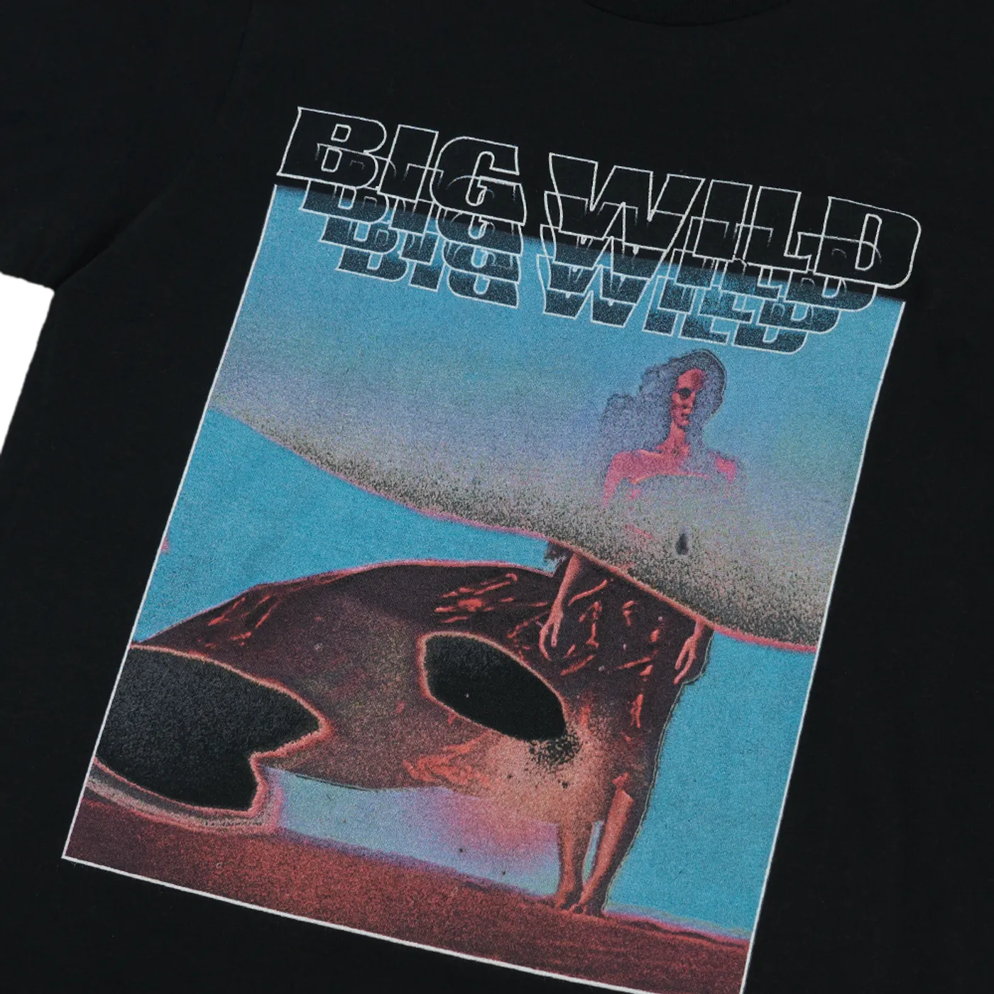 Big Wild Lo-Fi T-Shirt (Black)