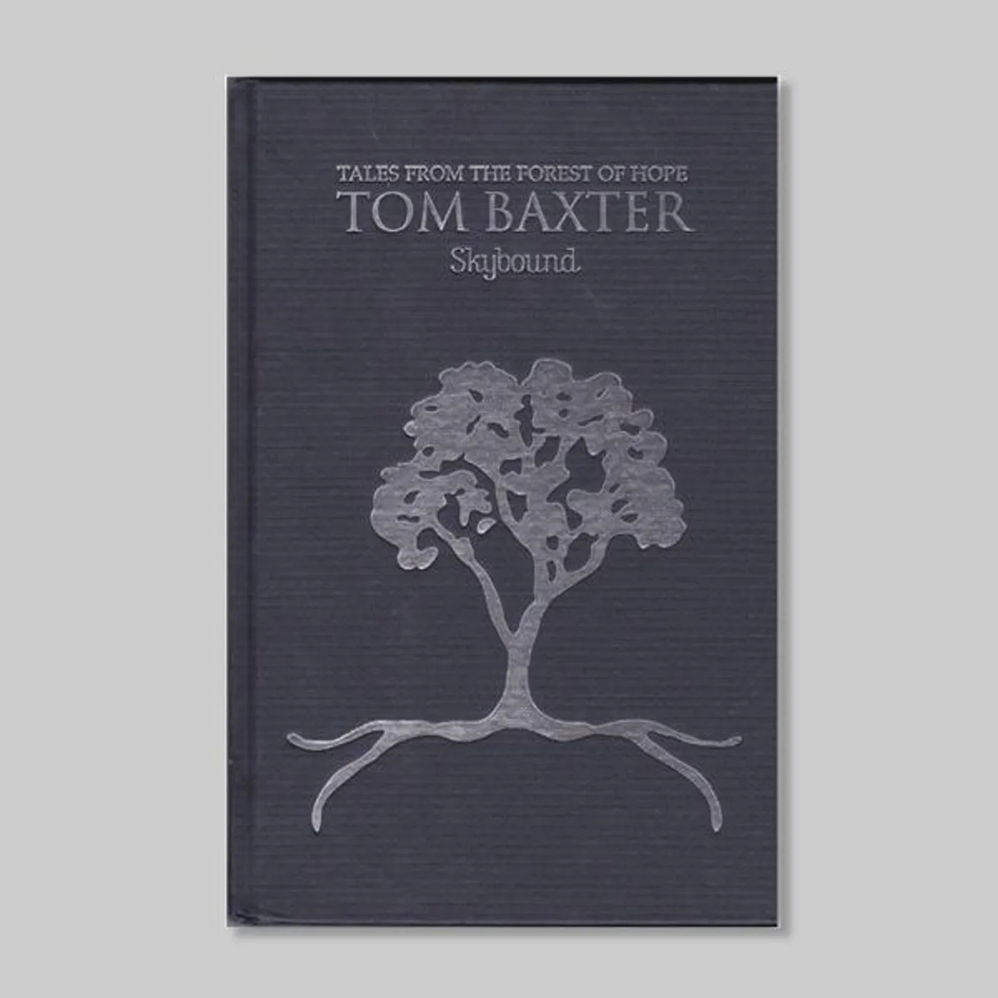 Tom Baxter Skybound Book (Tales From The Forest Of Hope)