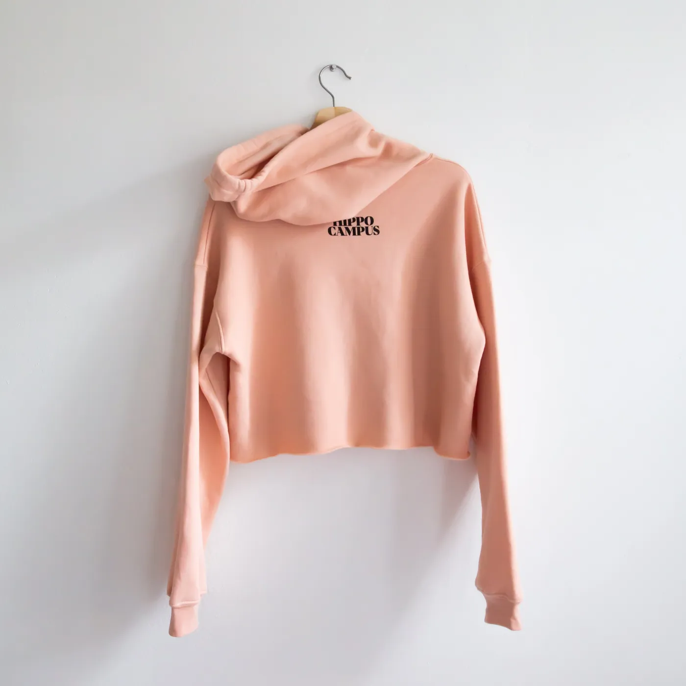 Hippo Campus CROPPED LOGOS HOODIE