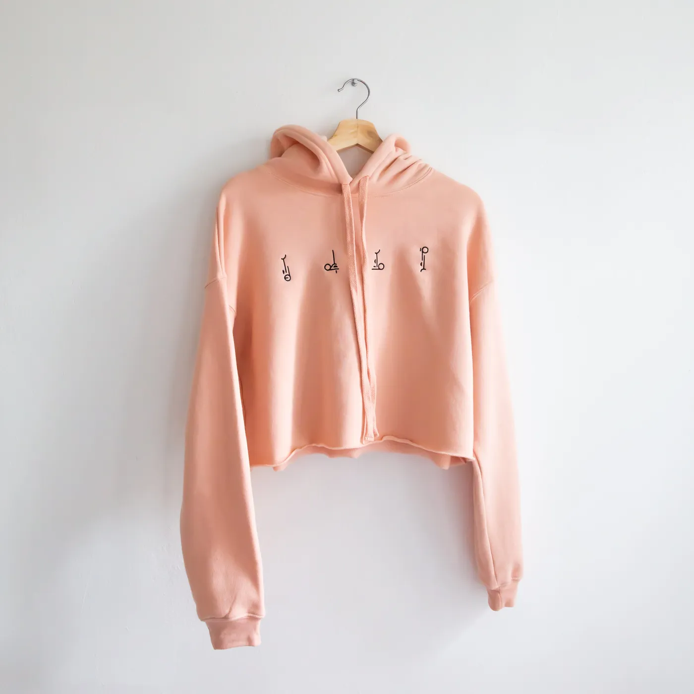 Hippo Campus CROPPED LOGOS HOODIE