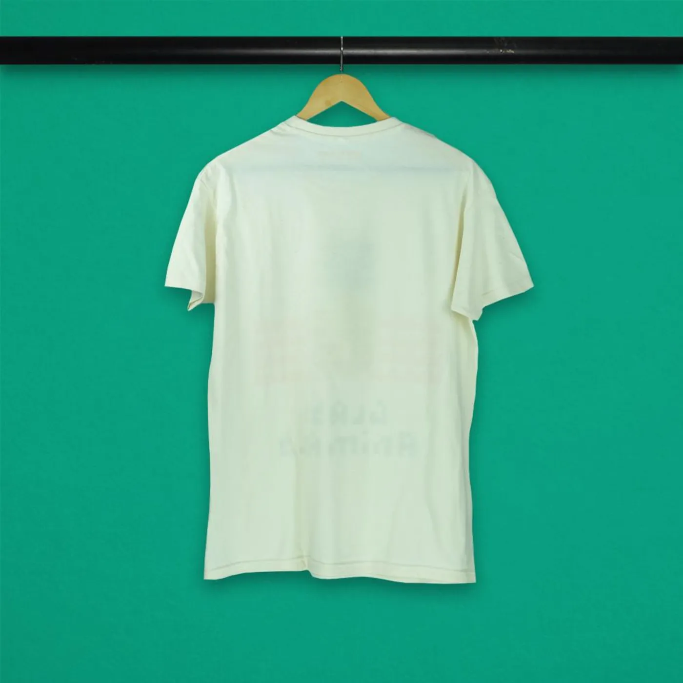 Glass Animals SUNSET PINEAPPLE NATURAL T-SHIRT