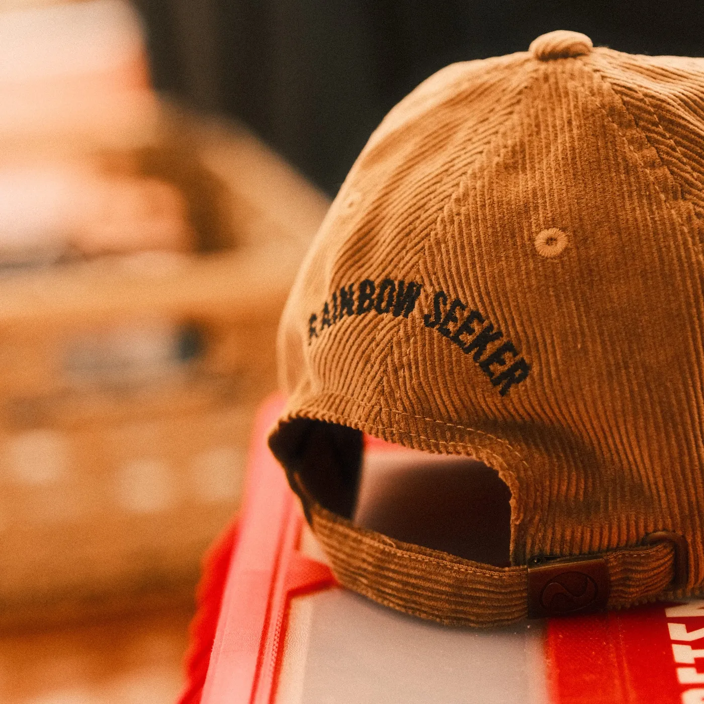 Joe Hertler & The Rainbow Seekers Rainbow Duck Hat