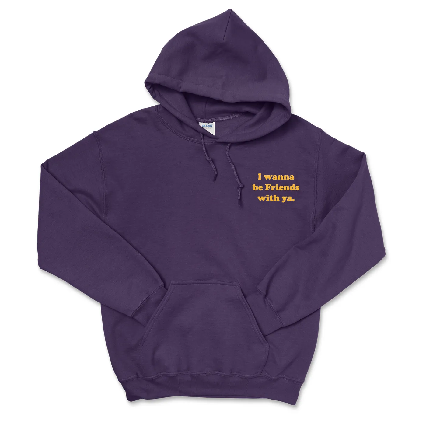 Sammy Rae - I Wanna Be Friends With Ya Hoodie