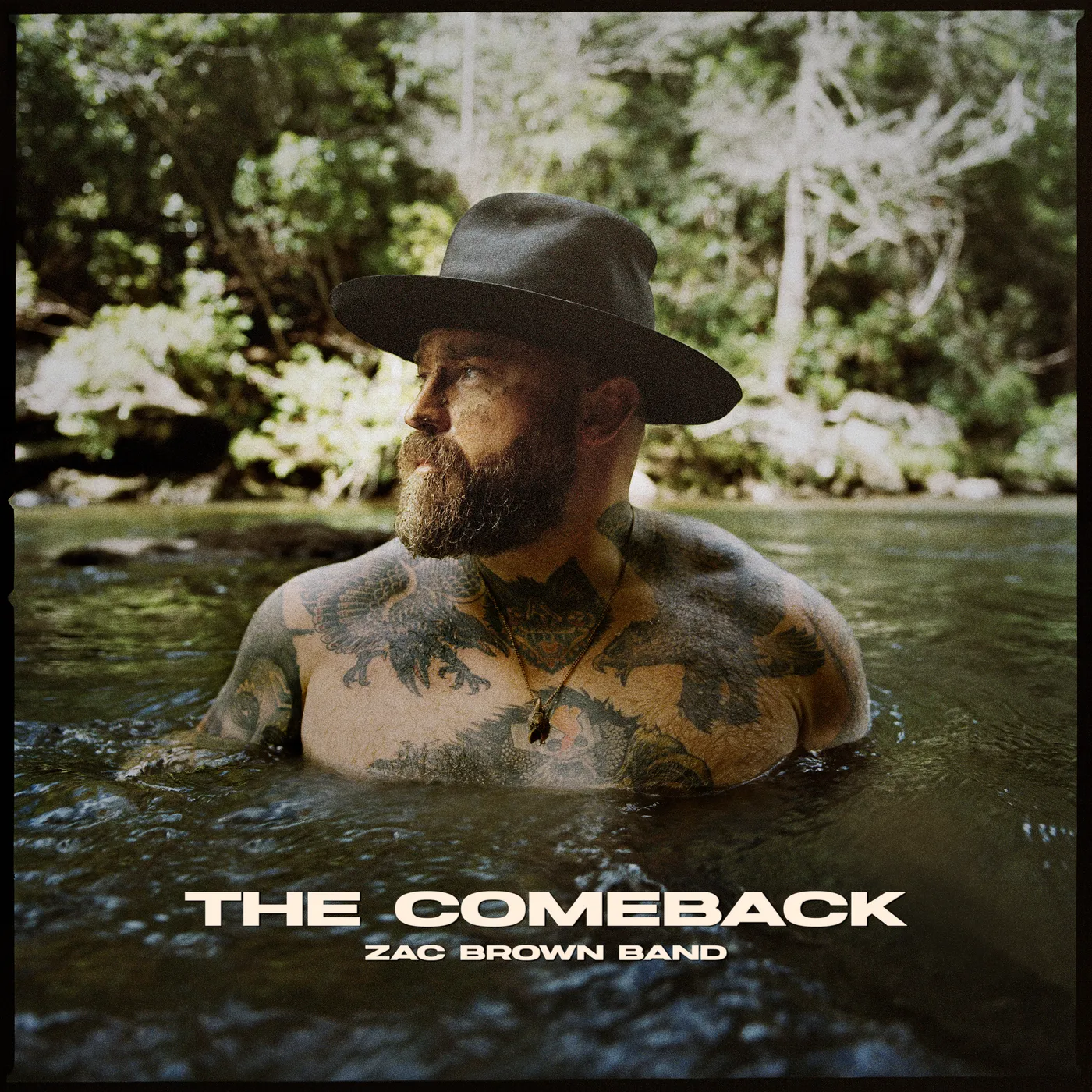 Zac Brown Band The Comeback Vinyl
