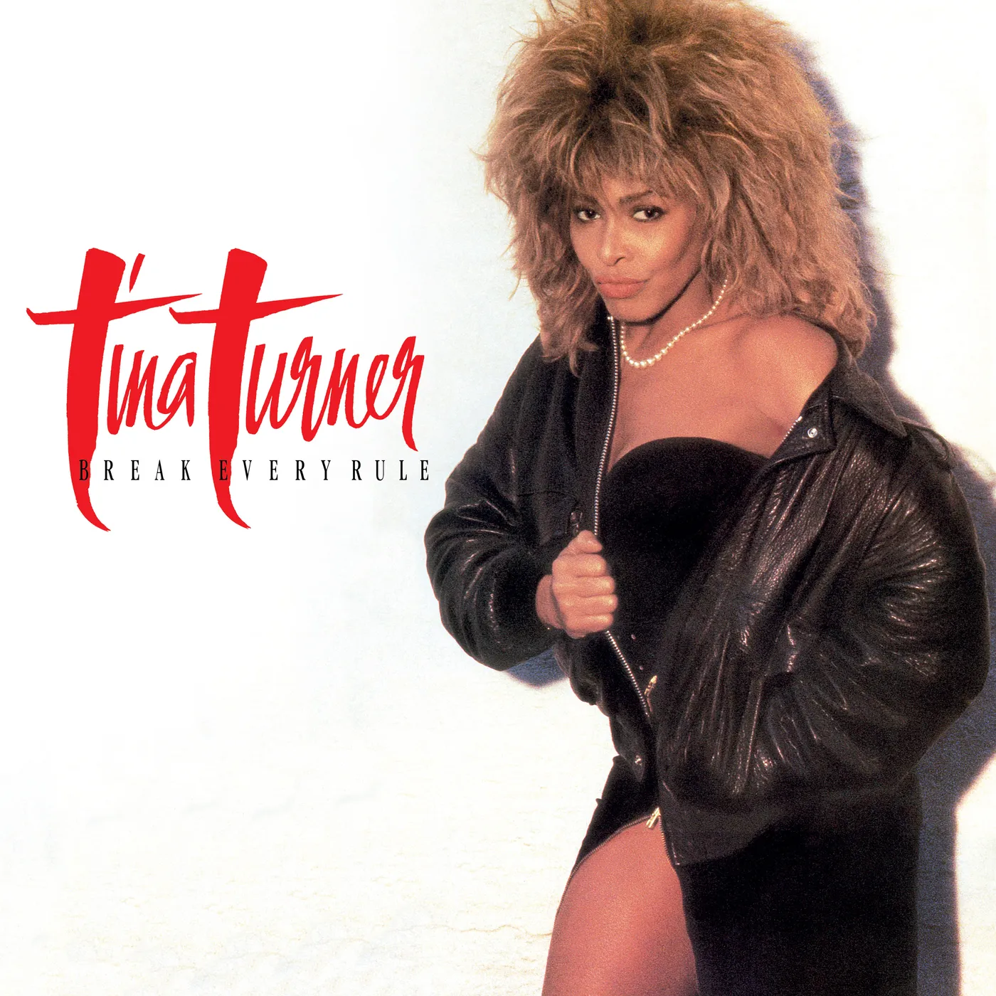 Tina Turner Break Every Rule (LP) (Vinyl)