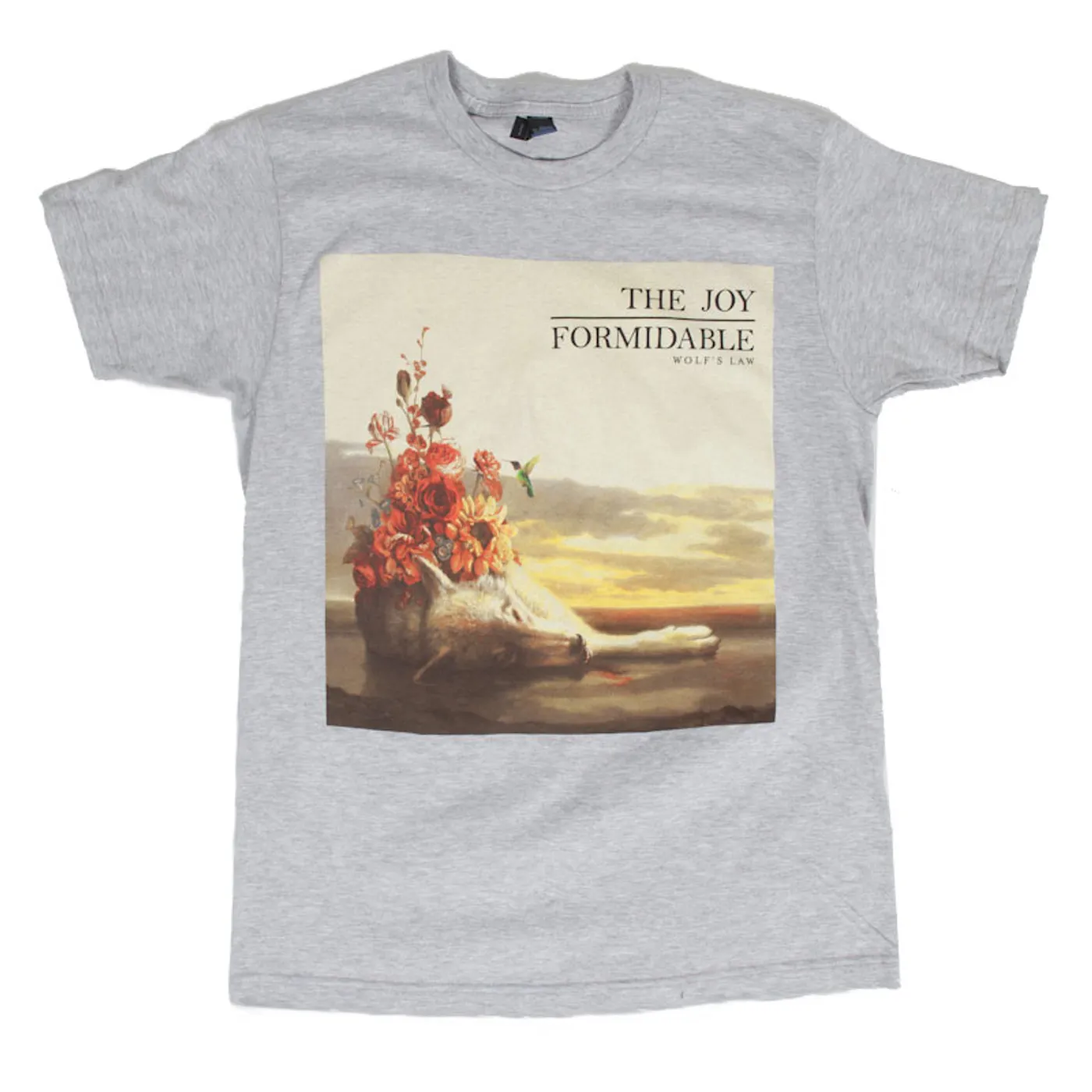 The Joy Formidable Floral Law T-Shirt