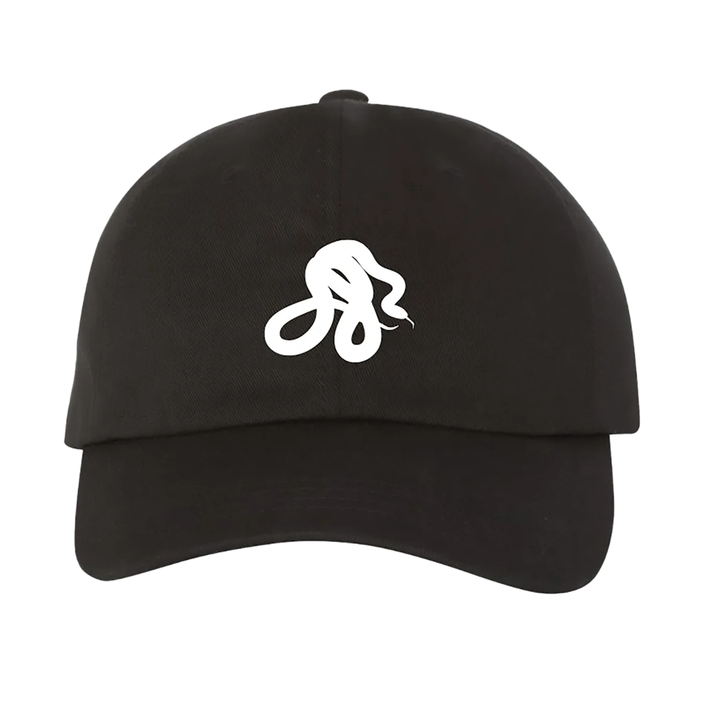 Deftones snake embroidered hat