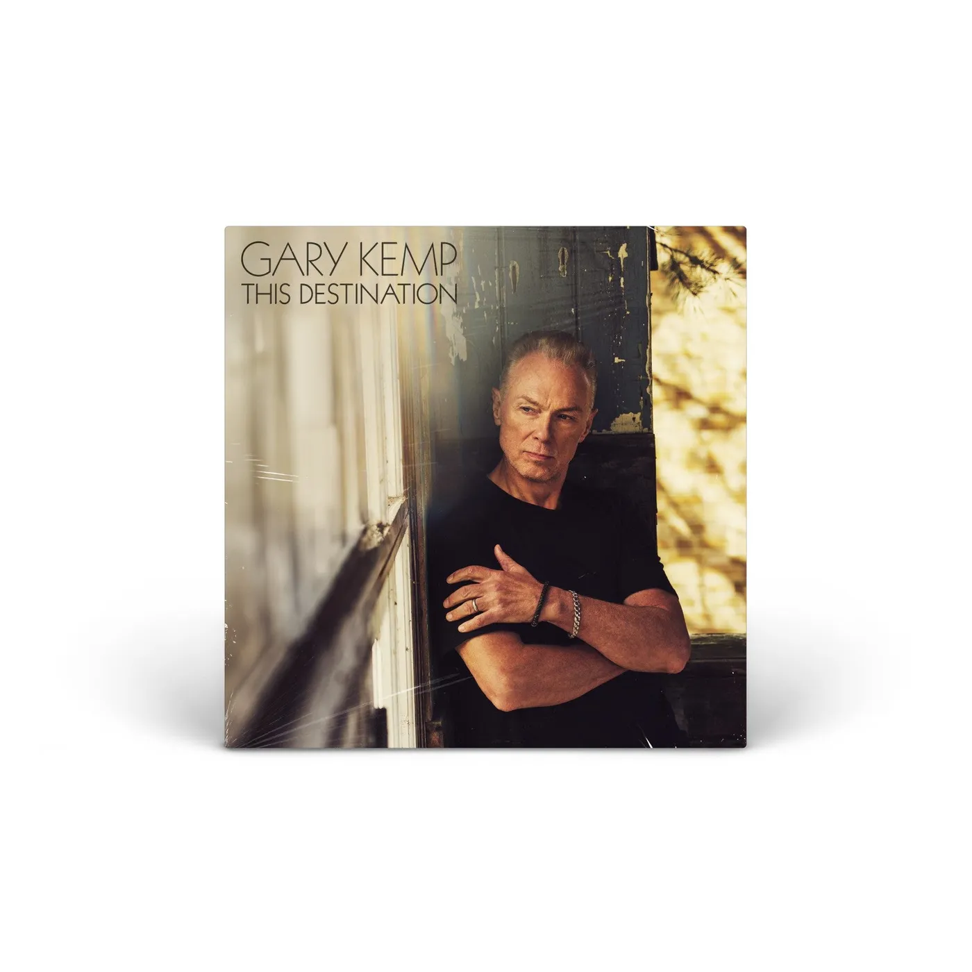 Gary Kemp This Destination vinyl LP