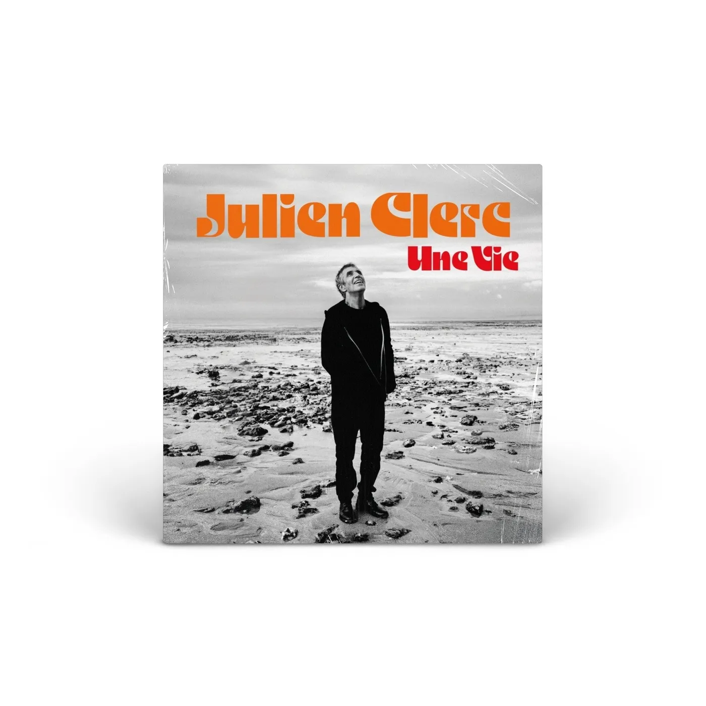 Julien Clerc Une vie vinyl LP