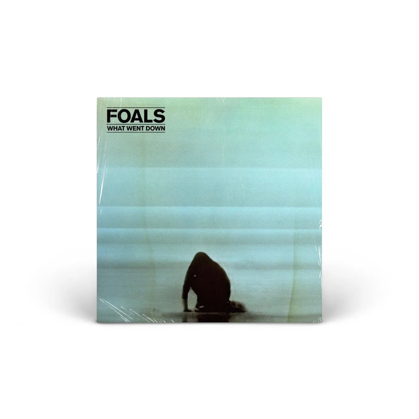 Foals What Went Down vinyl LP