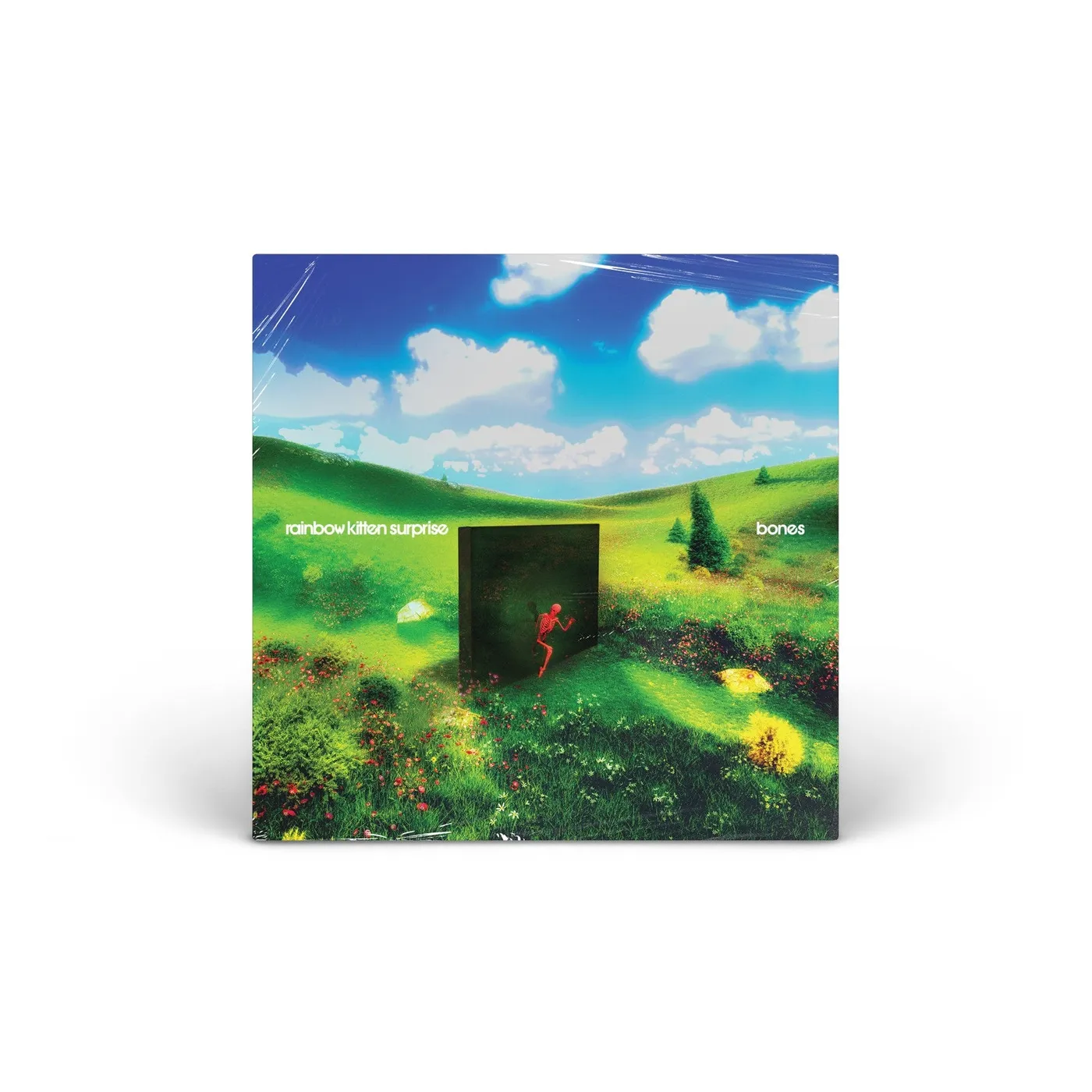 Rainbow Kitten Surprise bones vinyl LP