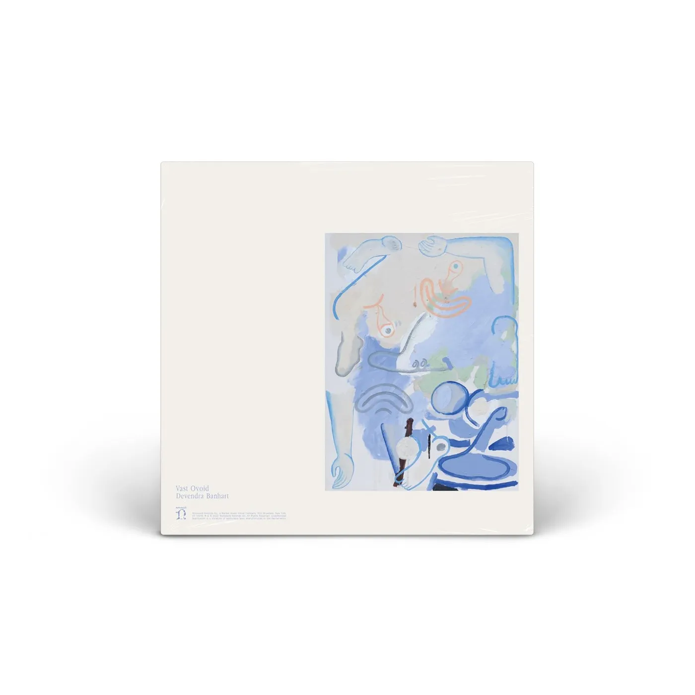 Devendra Banhart Vast Ovoid vinyl LP