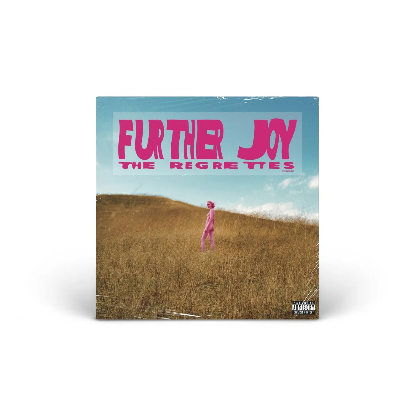 The Regrettes Further Joy vinyl LP