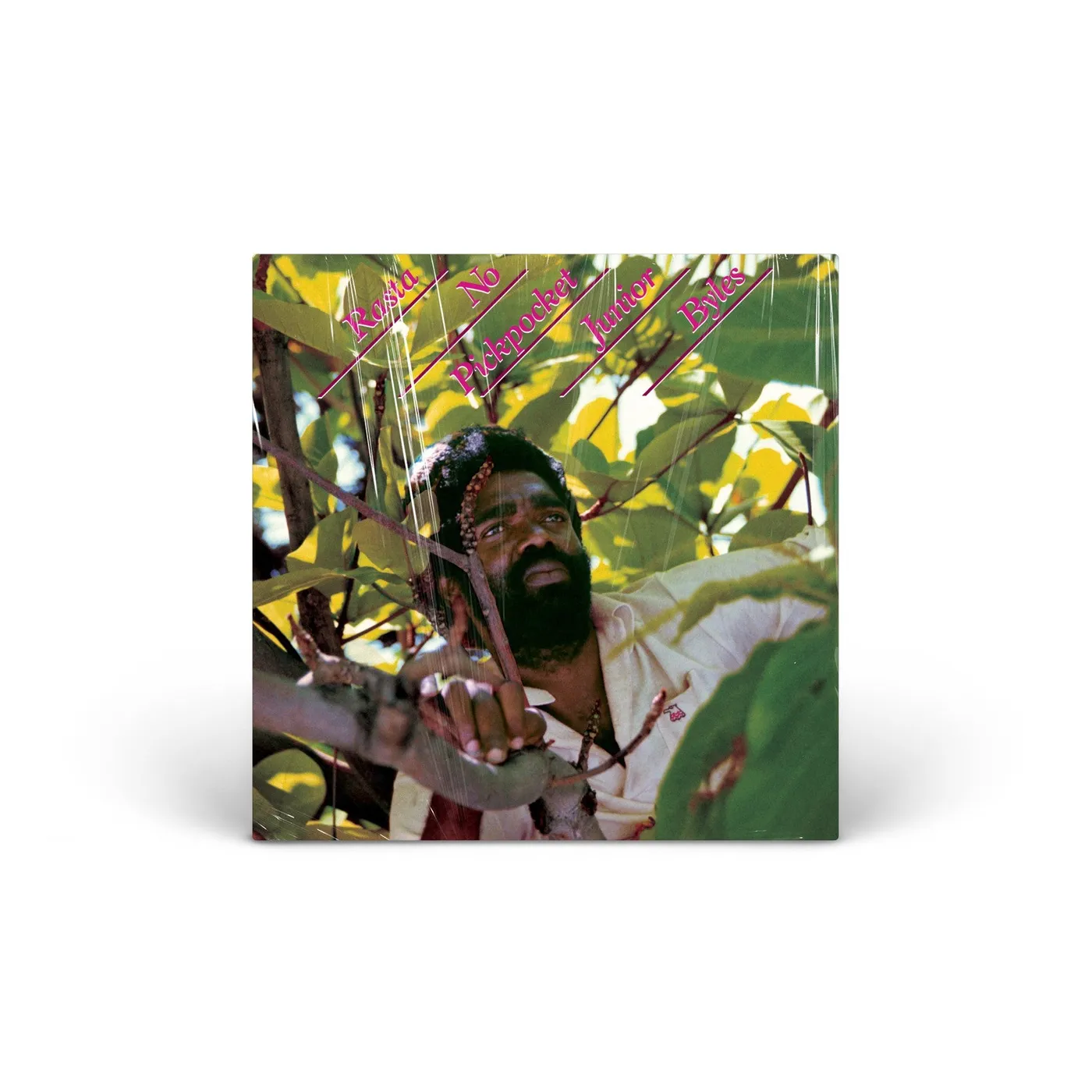 Junior Byles Rasta No Pickpocket vinyl LP