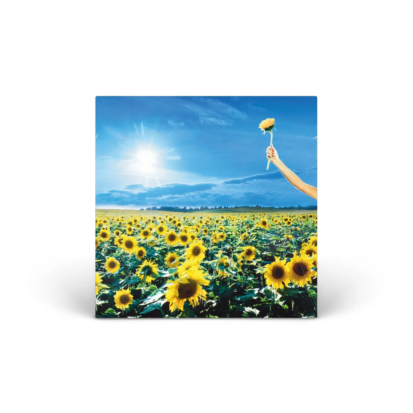 Stone Temple Pilots Thank You (Opaque Sky Blue Vinyl) vinyl 2LP