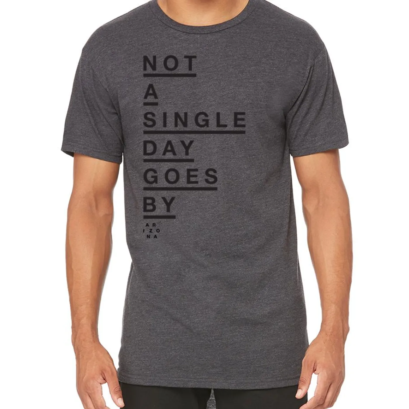 ARIZONA Not a Single Day Tee
