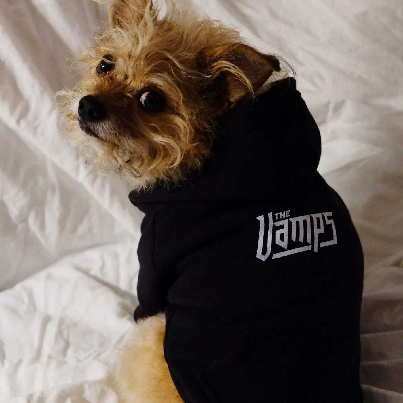 The Vamps Dog Zip Hoodie