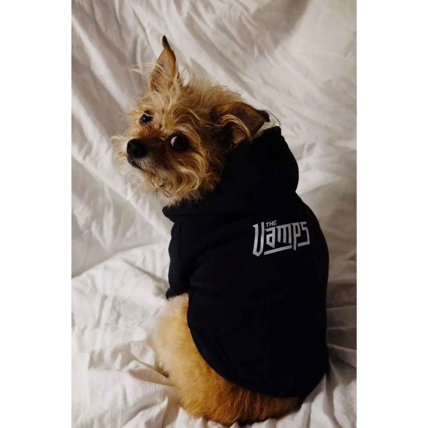 The Vamps Dog Zip Hoodie