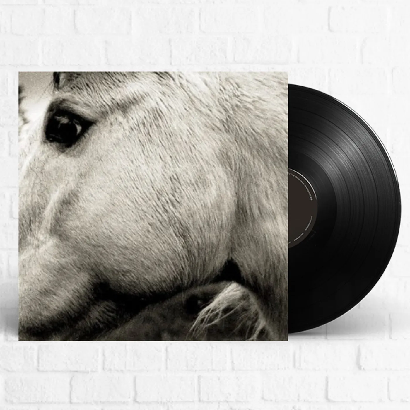 Bonny Light Horseman