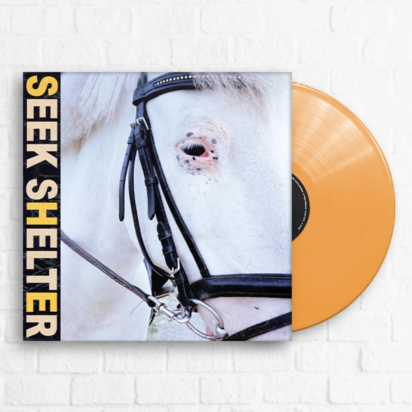 Iceage Seek Shelter [Limited Orange]