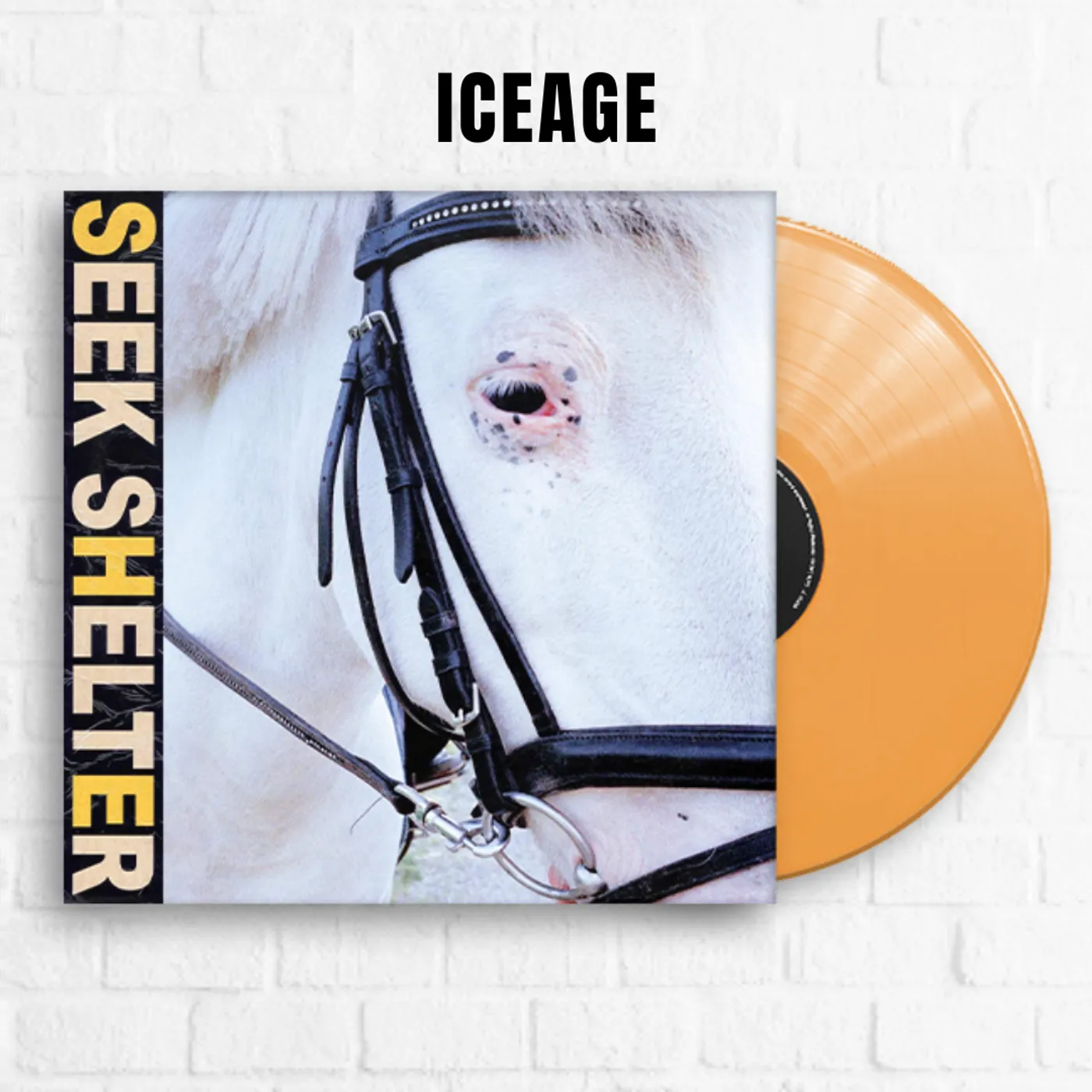 Iceage Seek Shelter [Limited Orange]
