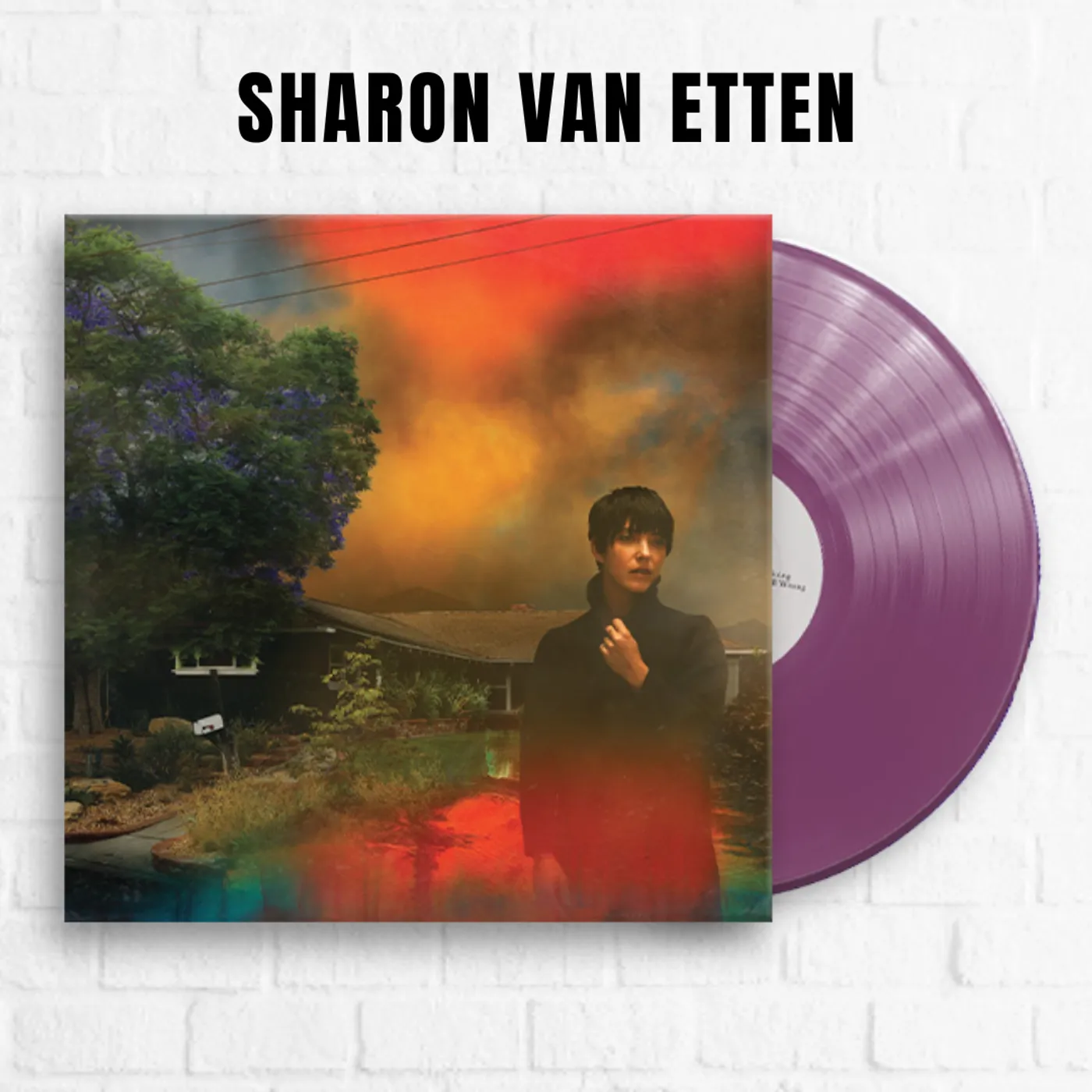 Sharon Van Etten We've Been Going About This All Wrong [Exclusive Purple]